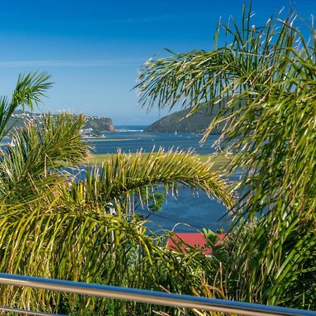 Guest House The Lazy Lion Knysna Exteriör bild