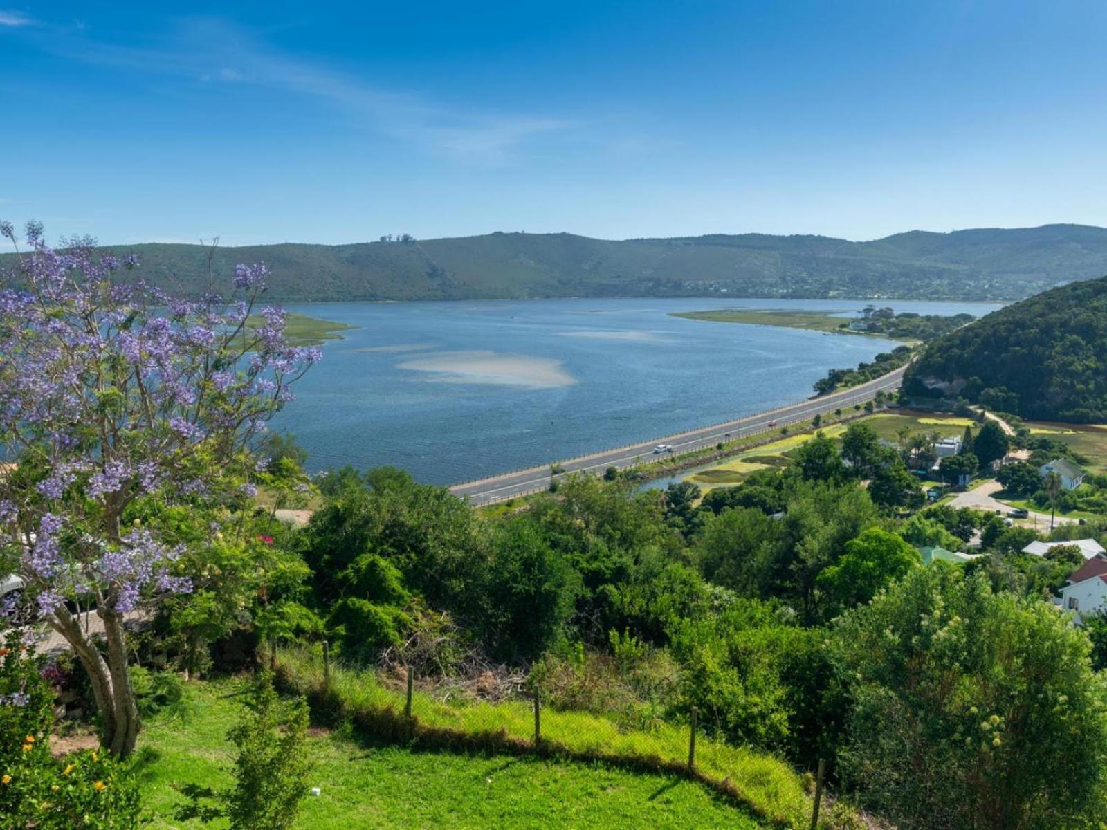 Guest House The Lazy Lion Knysna Exteriör bild