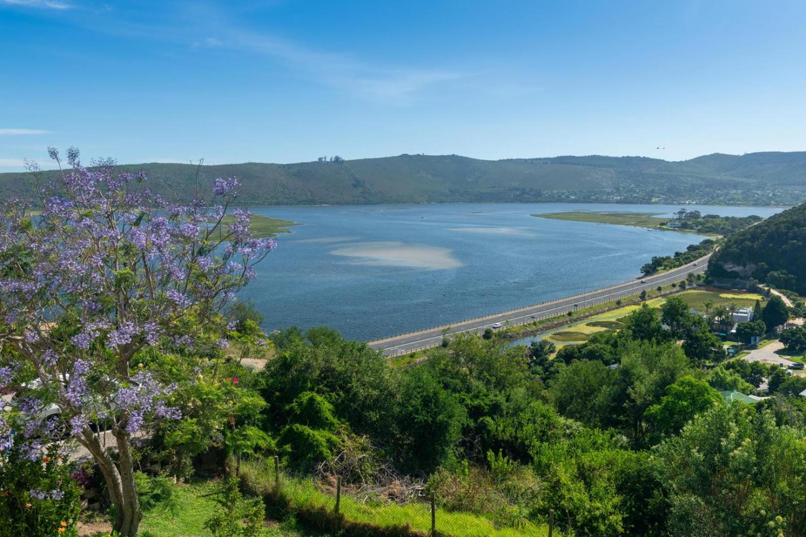Guest House The Lazy Lion Knysna Exteriör bild